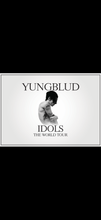 Load image into Gallery viewer, The Yungblud
